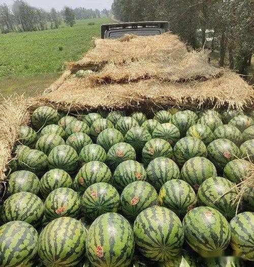 今日份成都吃瓜,今日热门事件大盘点