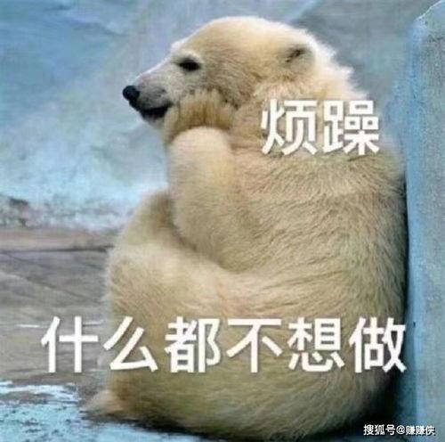 我就是个吃瓜群众图片搞笑