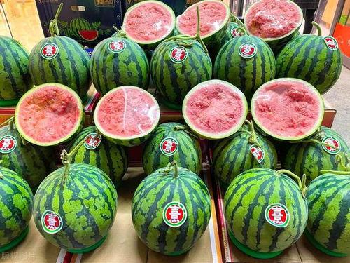 51朝阳今日吃瓜,今日吃瓜，揭秘娱乐圈最新热点事件