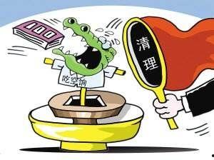 领导干部今日吃瓜事件,网络舆论场上的反思与警示