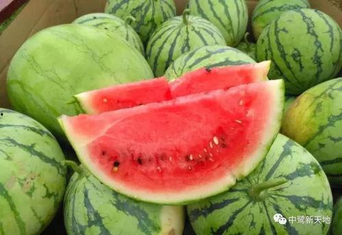 51热门吃瓜今日吃瓜17